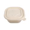 Disposable Square Food Container with Lid