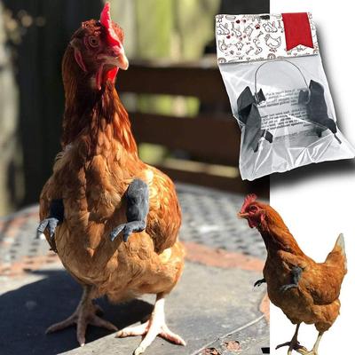 Chicken Arms Gag Gift Chicken Costume Arms Toy for Bird Chicken