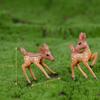 Couple Garden Ornament Miniature Flower Figurine Terrarium Bonsai