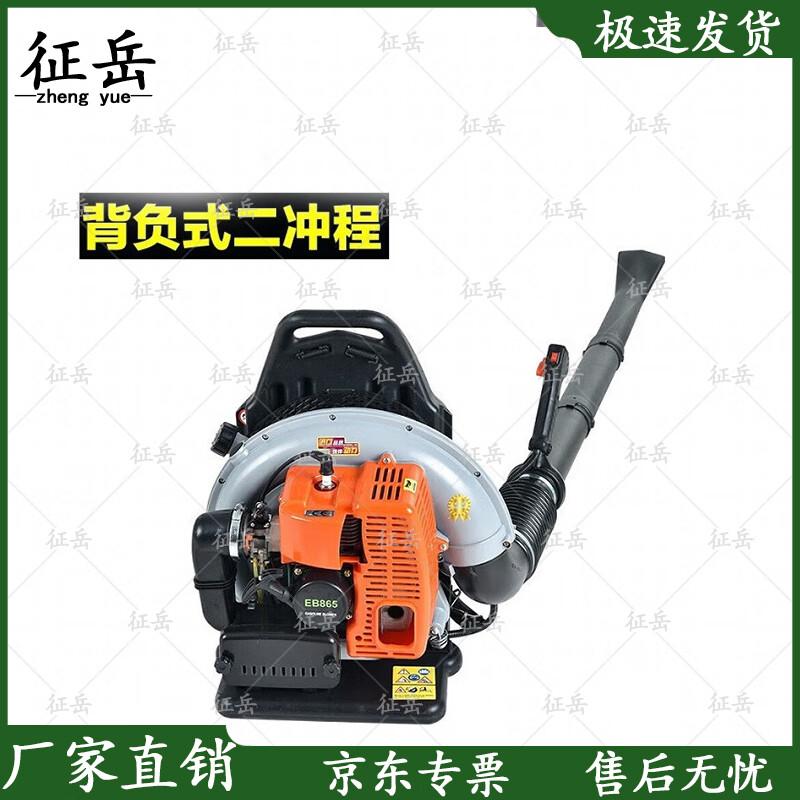 

Gasoline Backpack Blower