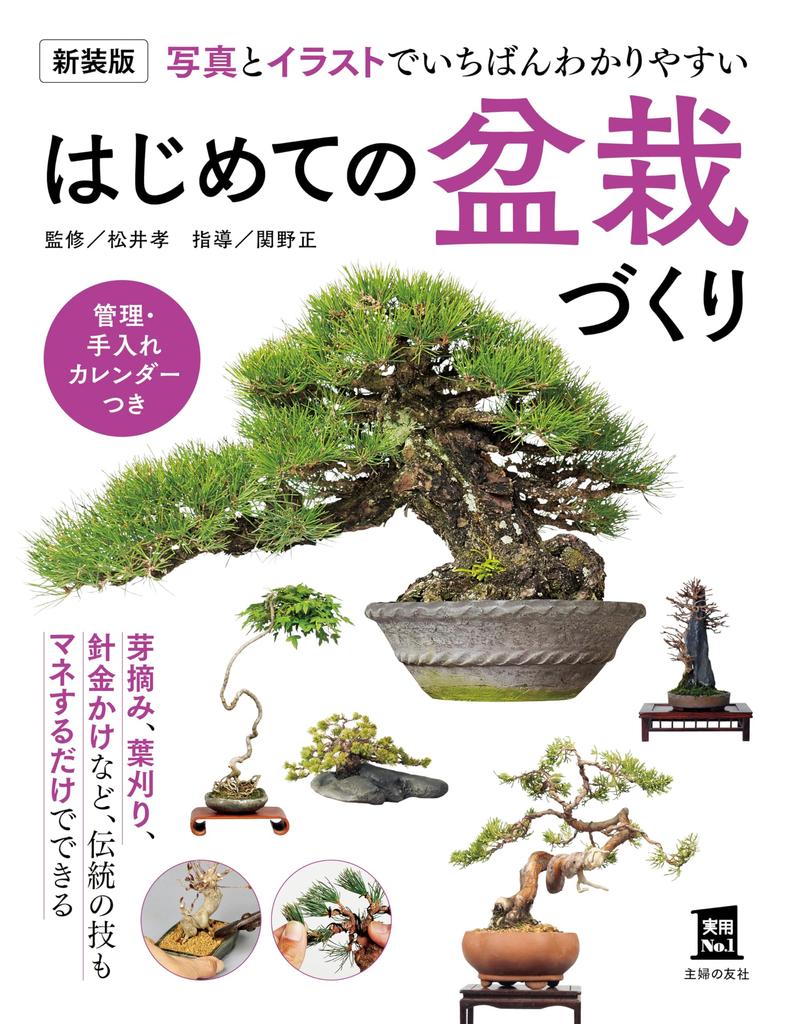 New Growing Bonsai for the First Time 1 Edition (Practical No. Series)