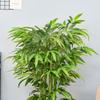 Artificial Plant, Plastic Bamboo In Pot, 780 Leaves, Realistic Look, Minimal Maintenance, 140 Cm, Green
