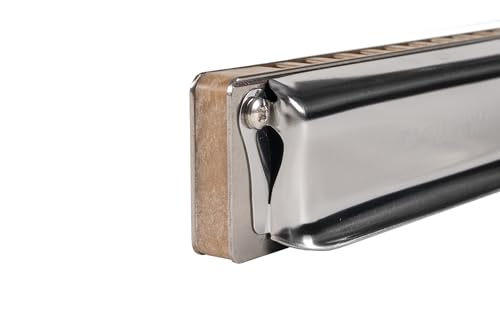 SUZUKI 10-hole Harmonica MANJI M-20 In Am Key