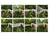 Multi-Purpose High-Pressure Water Gun: 8-Function Pure Copper Nozzle for Car Wash & Garden Watering.