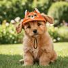 Cartoon Pet Sun Hat Adjustable Animal Pattern Dog Sunscreen Hat with Ear Holes Breathable Dog Visor Hats Photography