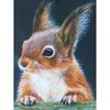 5D DIY diamantová malba Zvířecí veverka Umělecká sada křížového stehu Kamínkový obrázek Úplné diamantové vyšívání Mozaikové dekorace dárek