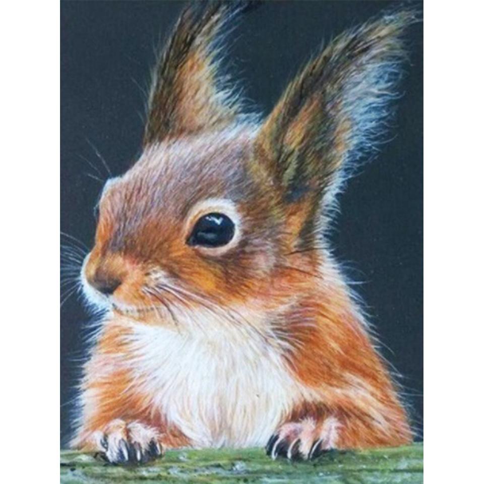 5D DIY diamantová malba Zvířecí veverka Umělecká sada křížového stehu Kamínkový obrázek Úplné diamantové vyšívání Mozaikové dekorace dárek