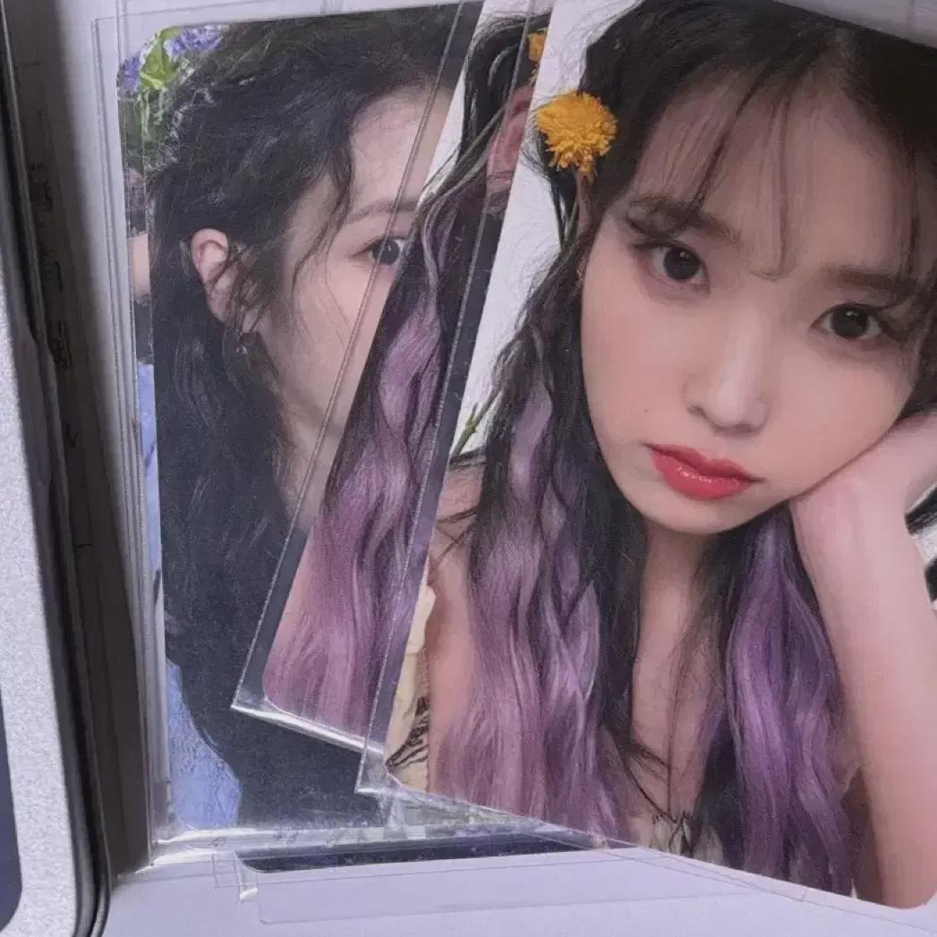 

Iu Golden Hour Photo Card Set