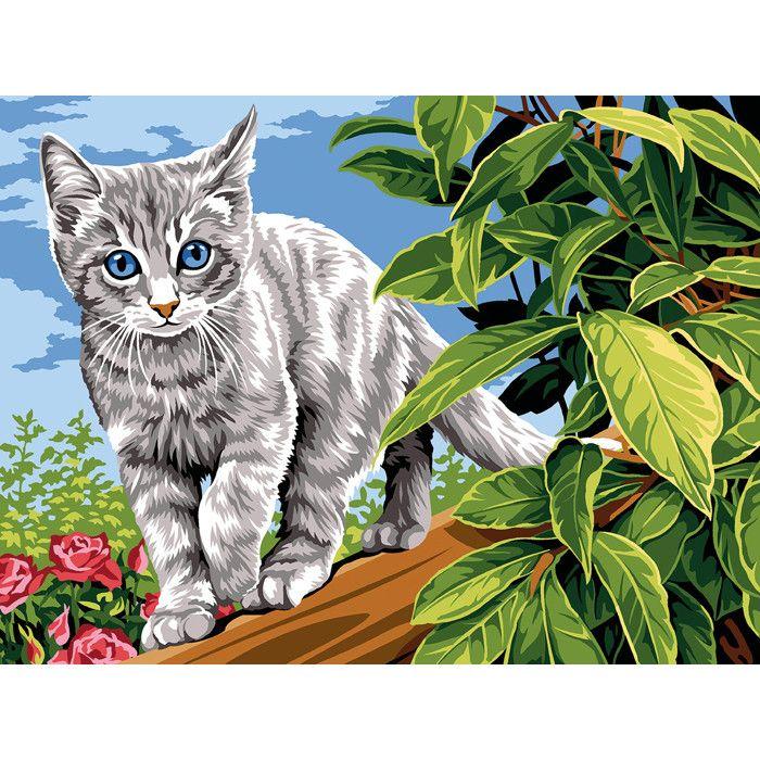 SEG N17 Canvas On The Palisade 40x50 Cm