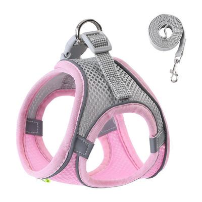 Köpek – Köpek Tasmaları ve Tasma Kayışları