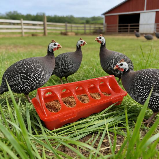 Mangeoire pour poussins 12 trous Mangeoire gouttière Couvercle rabattable Mangeoire à volaille sans renversement Mangeoire gouttière sans gaspillage avec plusieurs trous d'alimentation pour poussins Canards Petites volailles