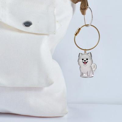 Yousheng 3Pcs Cat Hair Storage Box Keychain Transparent Acrylic Dog Hair Memorial Bottle Pet Hair Collector Container Key Ring Pet Owner Keepsake Gift