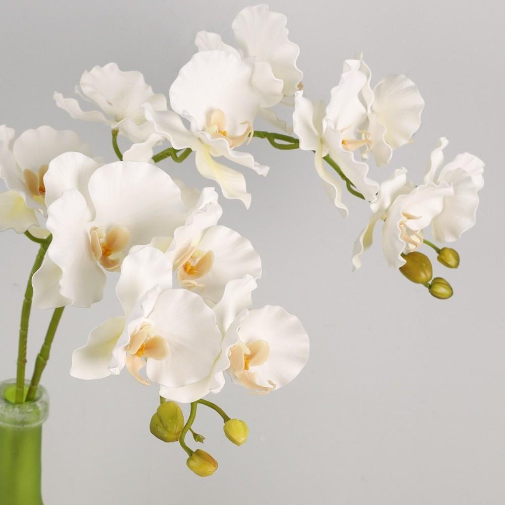 Handmade Simulation Big Moth Orchid Real Touch Faux Phalaenopsis  Wedding Party Favors