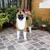 Garden Art Dog and Cat Flower Pot Set