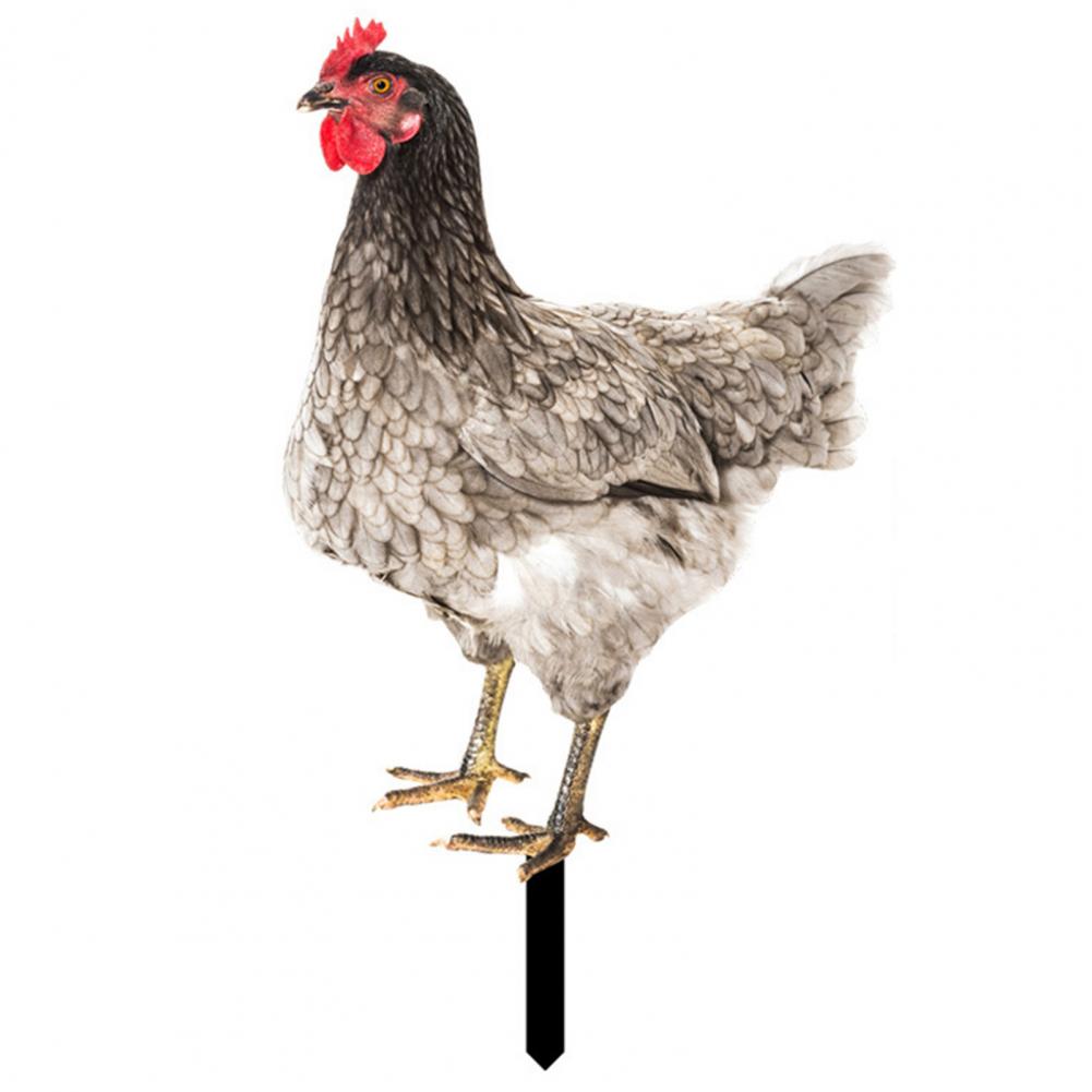 Ornamental Eco-friendly Rooster Decor Garden Statue Chicken for Garden