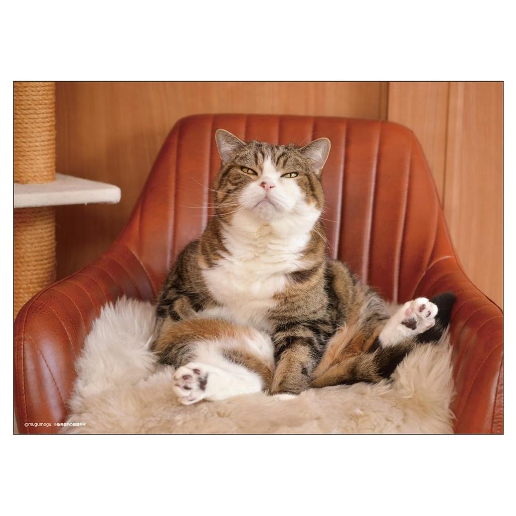 2026 Calendar Maru-chan (Desktop)