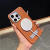 Magnetic Apple Peel Texture Phone Case with Stand for iPhone 16 Pro Max