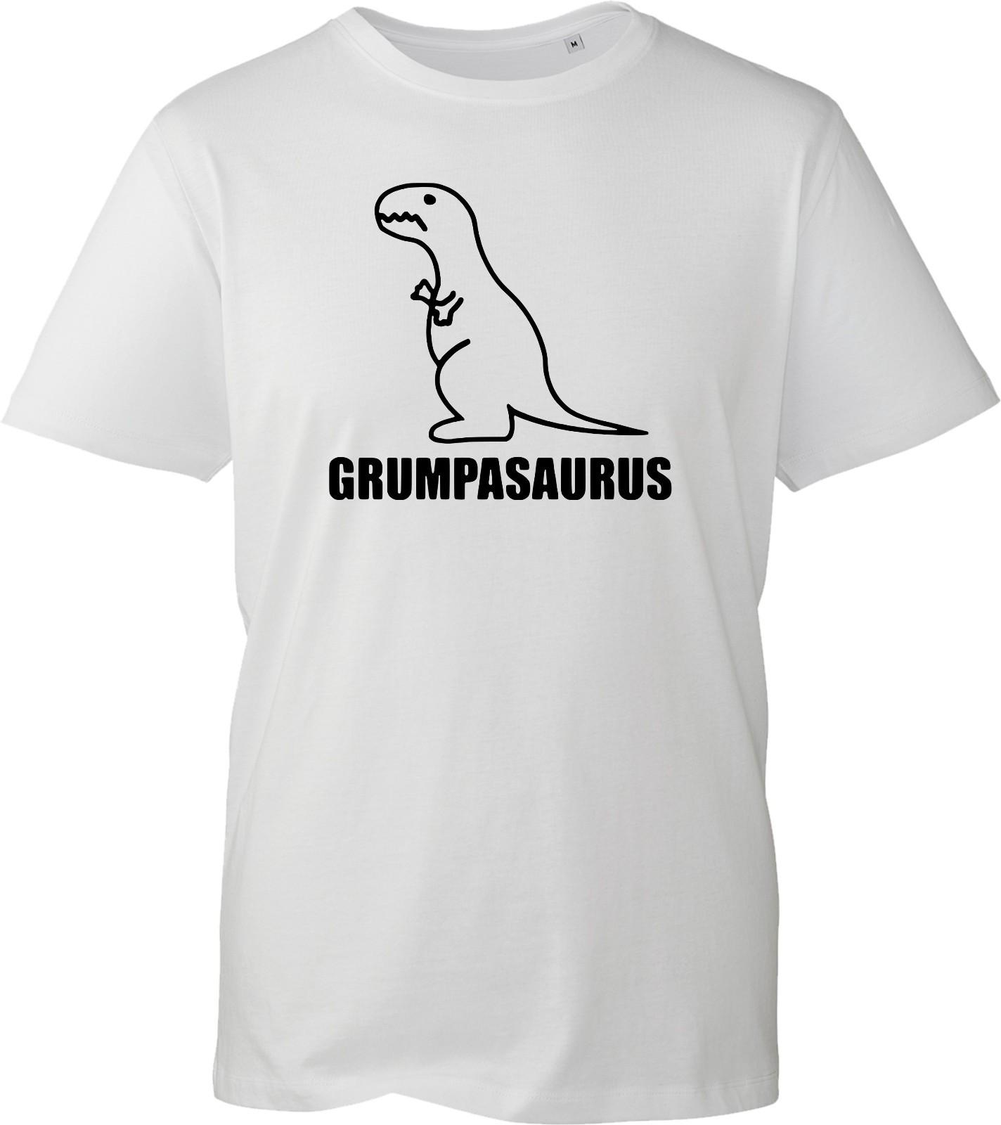Grumpasaurus Dinosaur Dad Joke Men s Shirt Funny Dino Printed Design Gift Tee XL