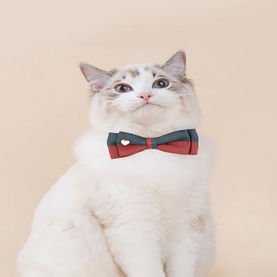 Kedi – Kedi Boyunluk ve Tasmaları