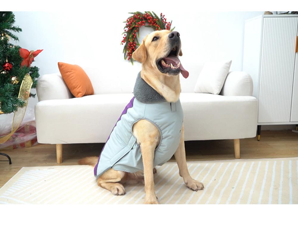 Dog Autumn/Winter Warm Cotton Clothes - Trendy Colors