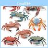 Ocean Animal Simulation Crab Figurines Perfect For Creative Learning And Decor