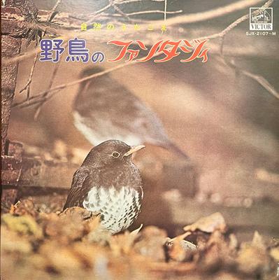 LP Record NO ARTIST  The Voices of Nature Fantasy of Wi SJX2107 VICTOR 1972 Japan Music Others Used