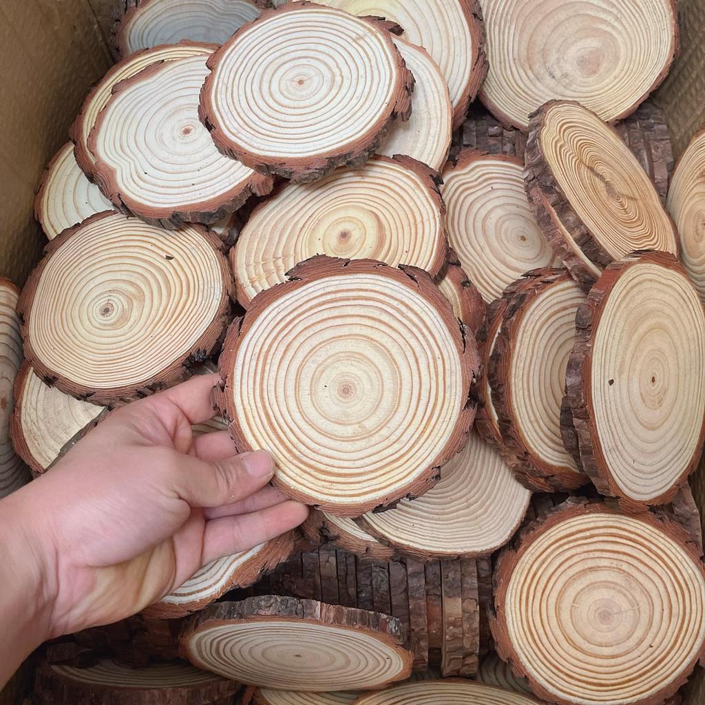 DIY Hand-Painted Wooden Slices for Crafts and Kindergarten Decor – Small Natural Wood Pieces with Growth Rings