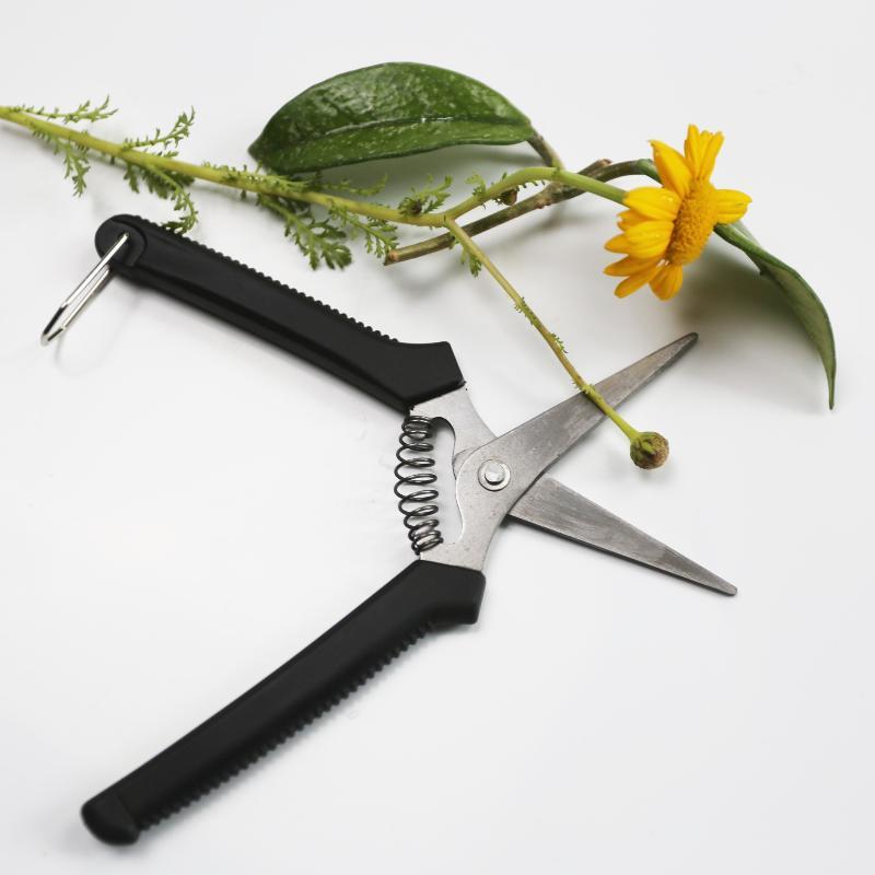 Stainless Steel Fruit Picking Shears With Sharp Blades Non Slip Handles For Gardening Harvesting Fruits Vegetables Flowers