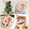 5/7Pcs Peony Petal Veiner Silicone Mold Stainless Steel Cutter Mould Handmade Fondant Flower Molds Cake Decorating Tool Bakeware