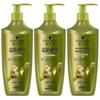Schwarzkopf Ginger Essence Oil Control Conditioner 3-Pack