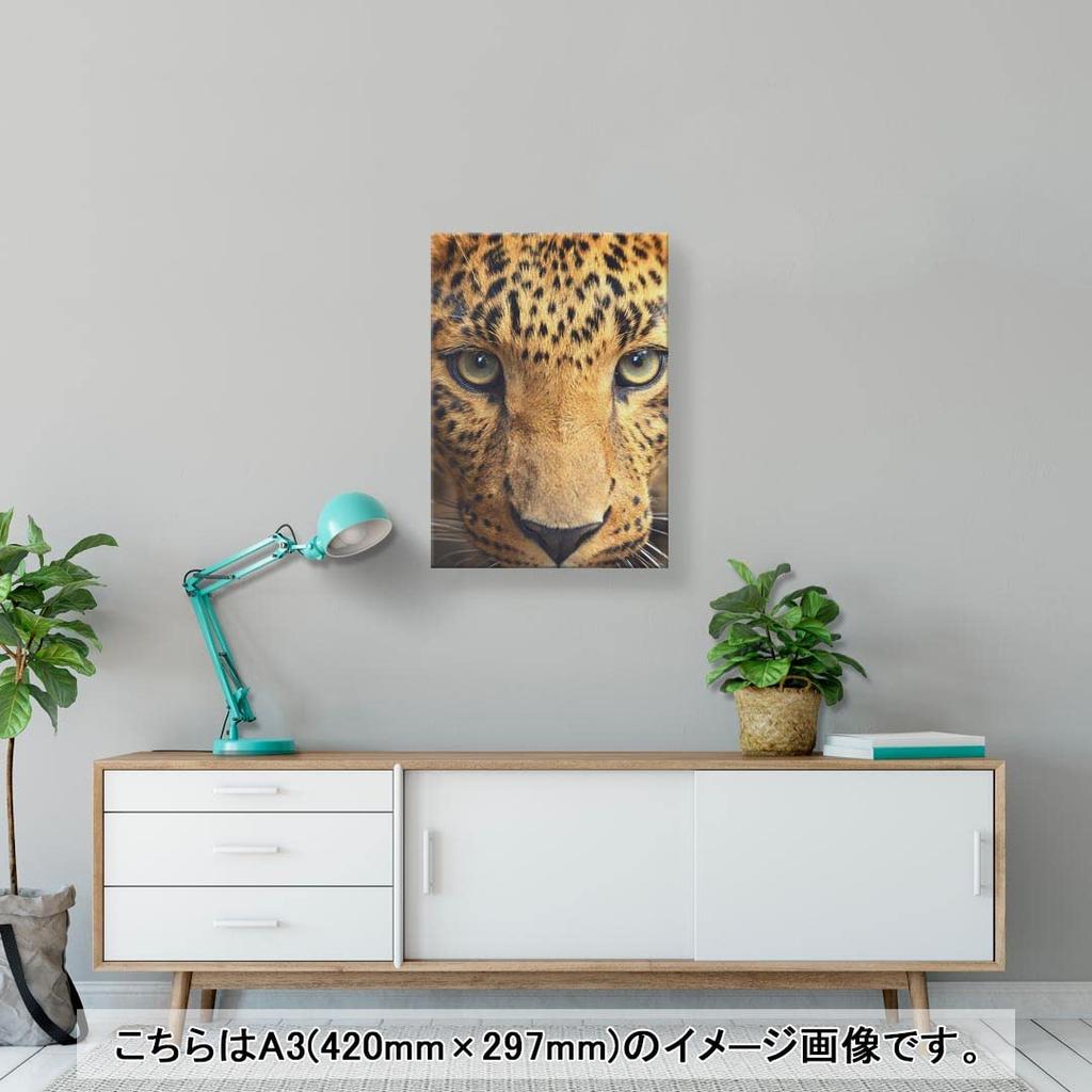 Art 420mm x Wall Wooden Stylish Interior Photo Panel, Picture, Painting, Decoration, igsticker, 297mm, A3, Photo, Hanging, Frame, Decor, 004522,