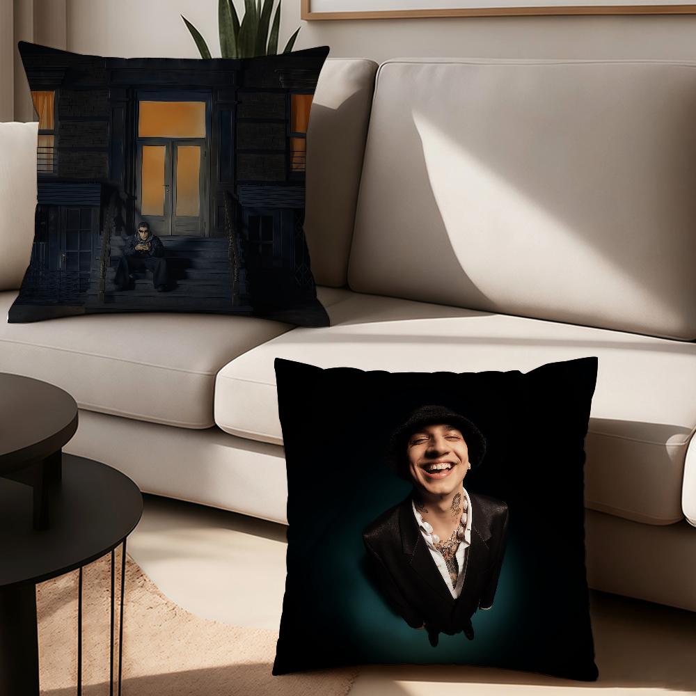 Napisz Jak Bedziesz S-Sobel Pillow Case Suitable For Bedrooms Living Rooms Cars Home Decoration