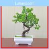 Realistic Artificial Bonsai With Container For Office Space And Coffee Shop Decor
