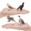 Detailed Static Pvc Bird Models Including Majestic Eagle Unique Vulture And Owl Designs