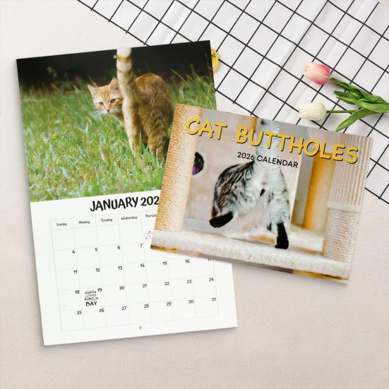 2026 Cat Buttholes Calendar 2026 Funny Cat 12 Monthly Wall Calendar Jan To Dec High-Definition Cat Photography