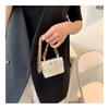 Trend Woman Shoulder Purse Mini Summer Crossbody Bags Chain Female Bag For Women Fashion Luxury Designer Handbag Women'S