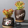 Dekoracje domowe – Ozdobne doniczki