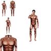Euro Fantasy Male Stage Costume With Realistic Muscle Pattern For Theater Acts