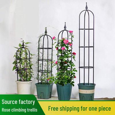 European Rose Flower Balcony Rack - Plant Support for Climbing Clematis