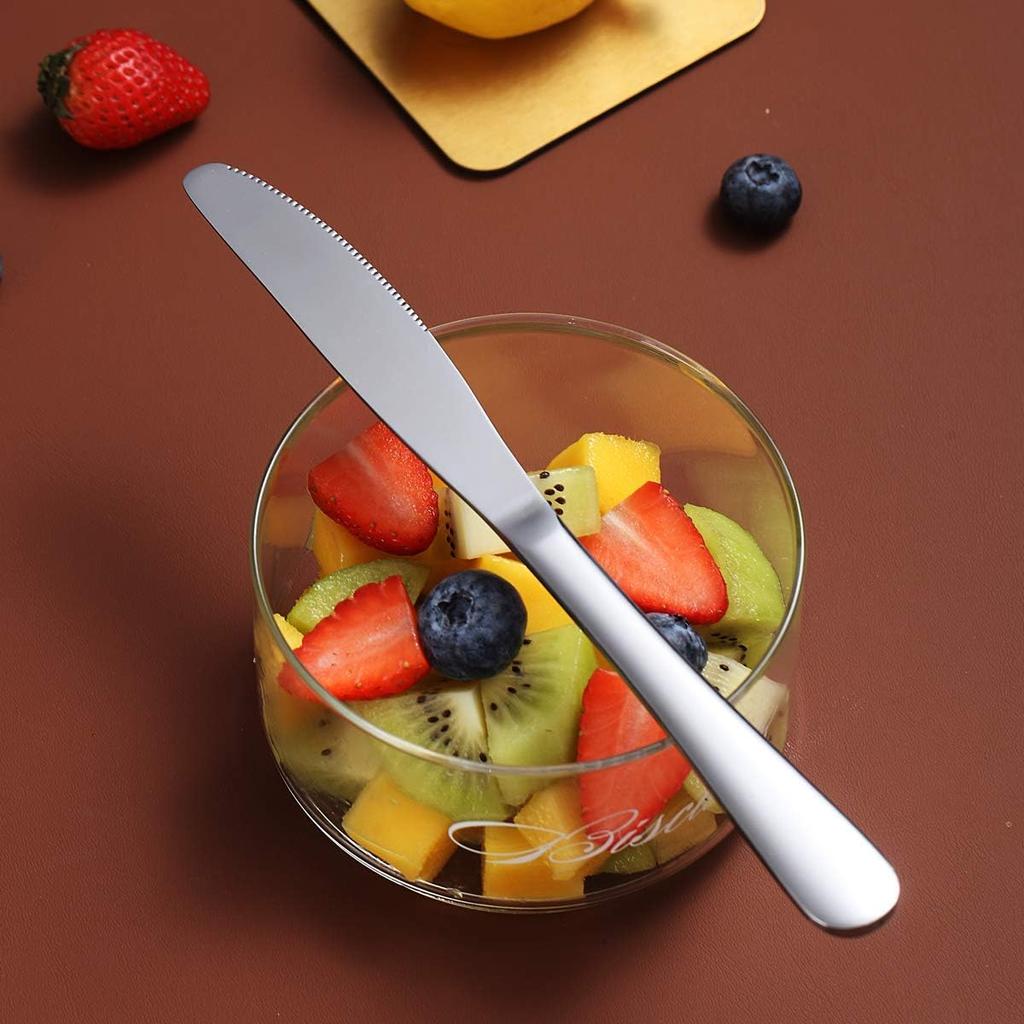 Berglander Dinner Knives Set Of 6, Stainless Steel Shiny Mirror Dinner Knife, Butter Knife Spreader Table Knives Sturdy And Dishwasher Safe