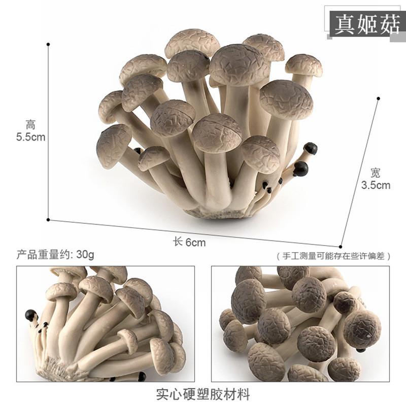 Realistisches Pilzset mit essbaren Shiitake-, Enoki-, Matsutake-Pilzen, giftigen Schirmpilzen, dekorativen Modellen, ideal für die Heimpräsentation