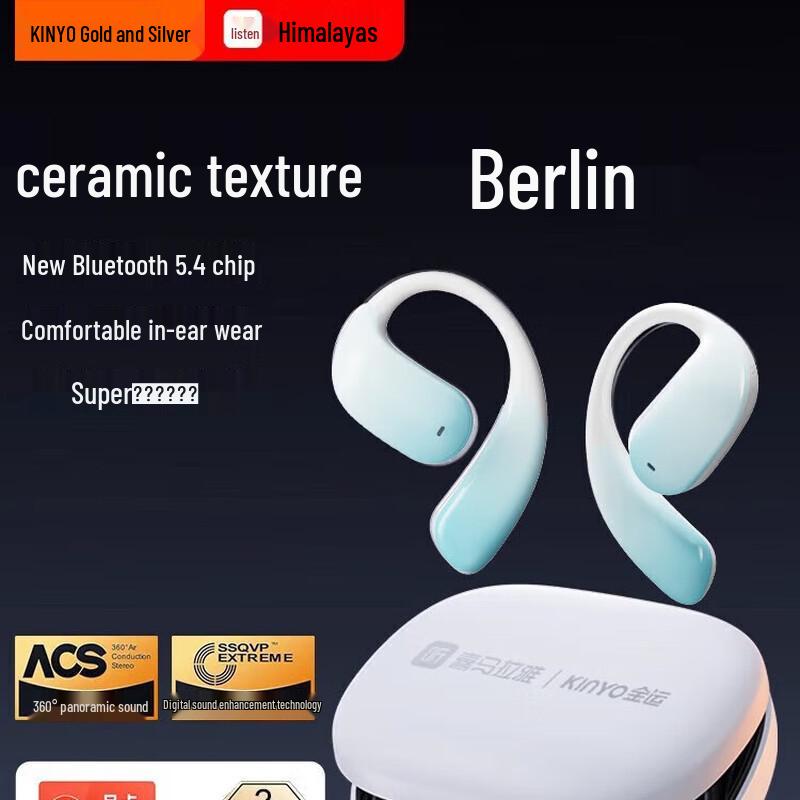 Jinyun SKY 5 True Wireless Bone Conduction Ear-hook Bluetooth Headphones