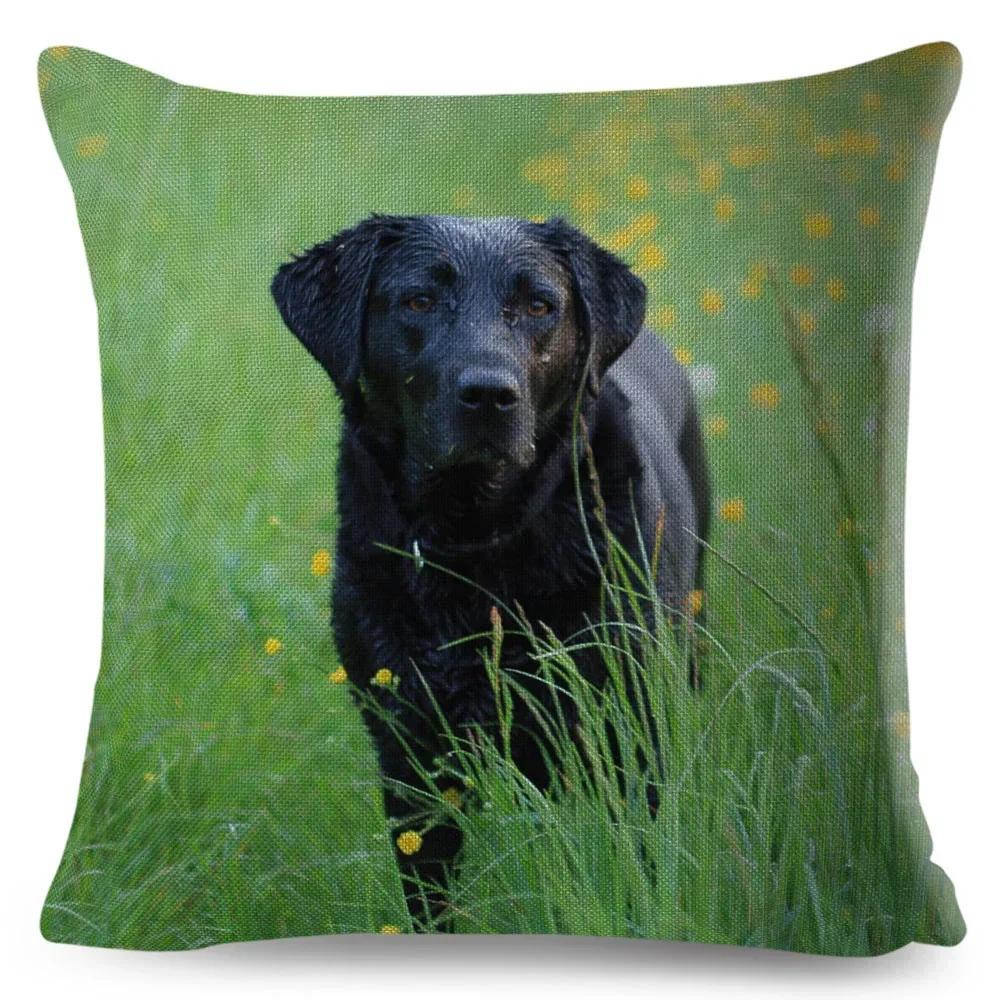 Cute Black Labrador Dog Double-Sided Printed Pillow Cover Short Plush Suitable Living Rooms Bedrooms Sofas Throw Cushion Cover