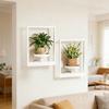 Contemporary Wall Flower Shelf White Metal Plant Display For Inside Outside Area deck 1 Piece