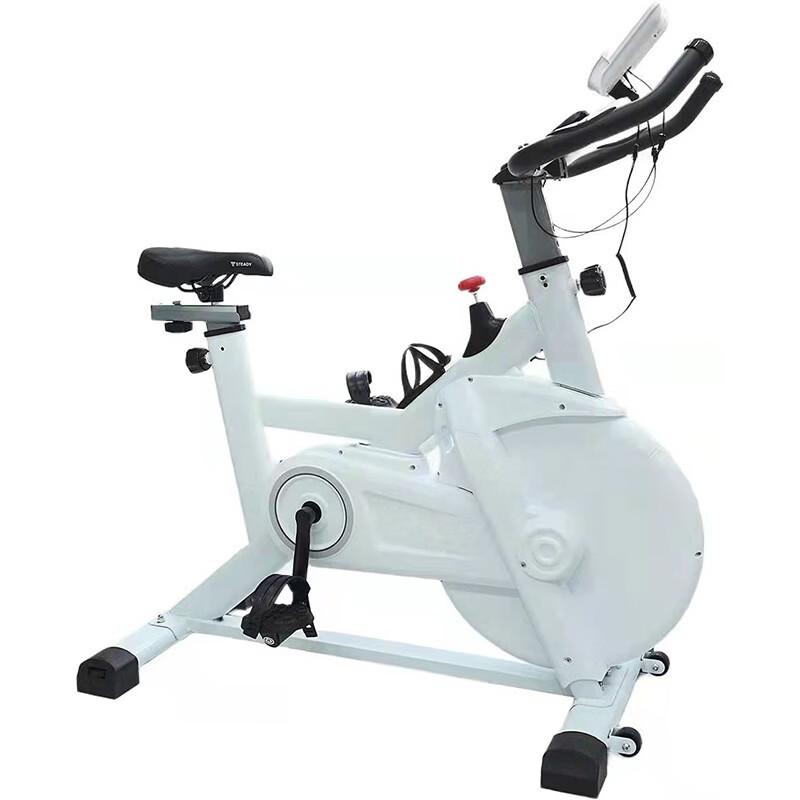 TLXT Home Fitness Spinning Bike CN plug (adapter included)
