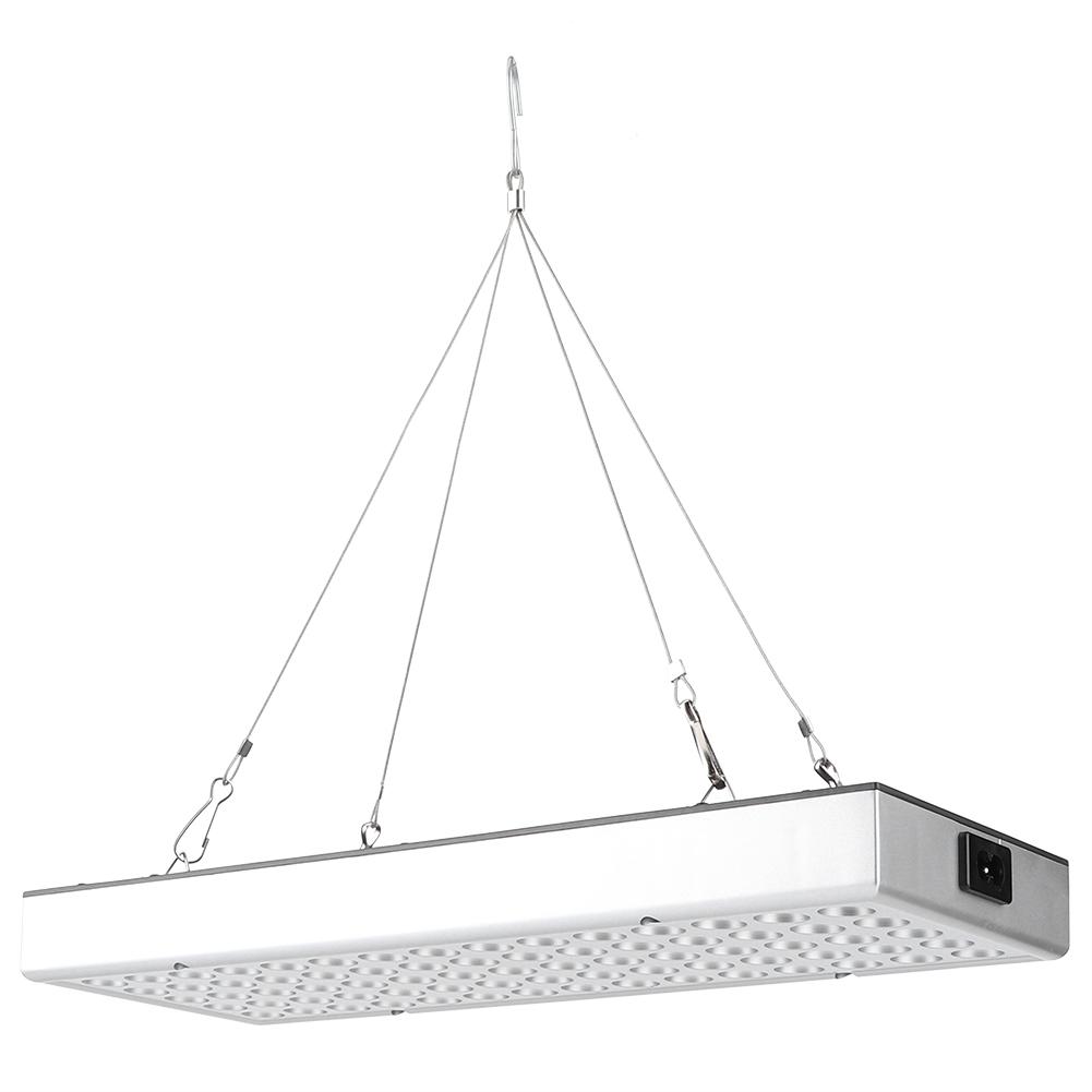 Plant Growth LED Light Full Spectrum Growing Lights for Greenhouse Horticulture