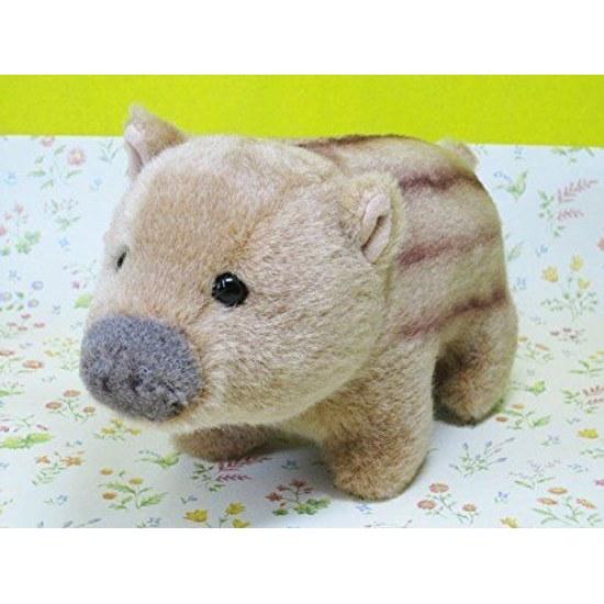 Stuffed animalboarstar childwild boar
