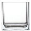 HAMMER GLASS Cube Vase, W8 X H8, Clear, Shatterproof Polycarbonate, 2300176