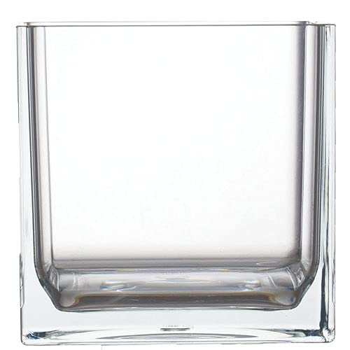 HAMMER GLASS Cube Vase, W8 x H8, Clear, Shatterproof Polycarbonate, 2300176