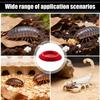 Reptile – Terarii pentru reptile